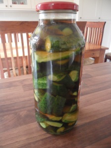 Gherkins that I pickled this week